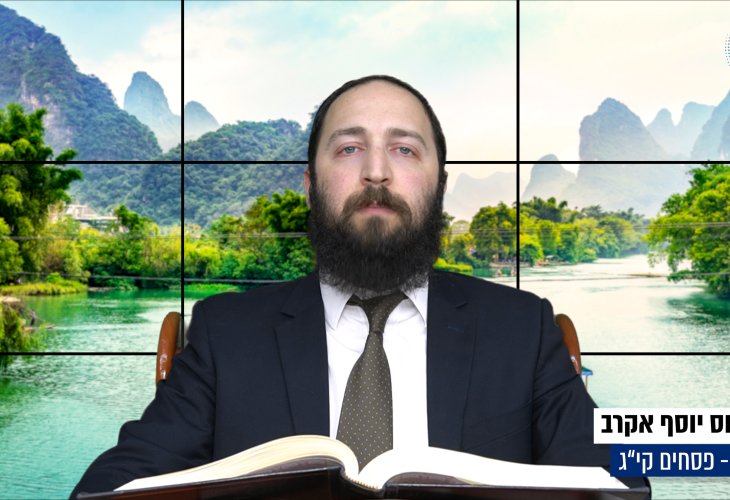 דף יומי: הדף היומי היום לצפיה - פסחים קי"ג | הרב פנחס יוסף אקרב