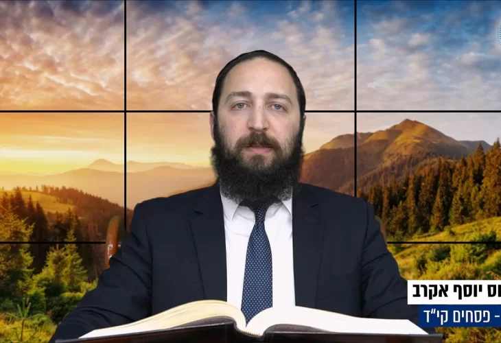 דף יומי: הדף היומי היום לצפיה - פסחים קי"ד| הרב פנחס יוסף אקרב