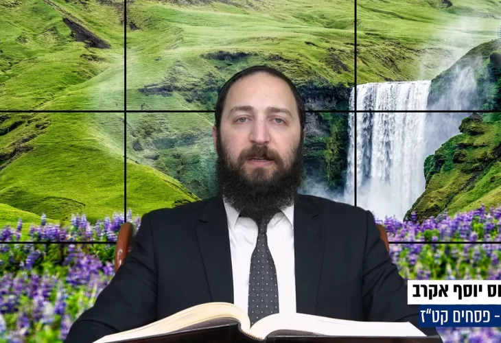 דף יומי: הדף היומי היום לצפיה - פסחים קט"ז | הרב פנחס יוסף אקרב