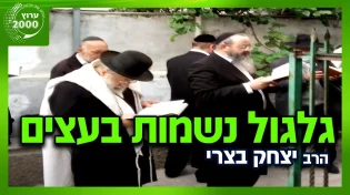 הרב יצחק בצרי - והמגיש הרב מרדכי לוי האם הצמחים באמת חיים גלגול נשמות בעצים
