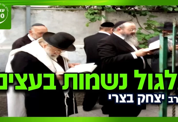 הרב יצחק בצרי - והמגיש הרב מרדכי לוי האם הצמחים באמת חיים גלגול נשמות בעצים 