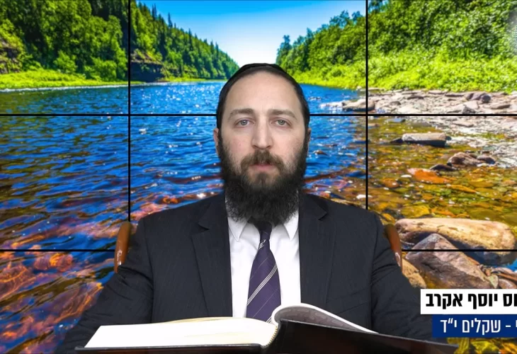 דף יומי: הדף היומי היום לצפיה - שקלים י"ד | הרב פנחס יוסף אקרב