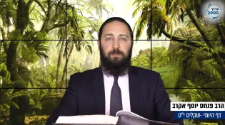 דף יומי: הדף היומי היום לצפיה - שקלים י"ט | הרב פנחס יוסף אקרב	