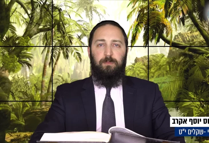 דף יומי: הדף היומי היום לצפיה - שקלים י"ט | הרב פנחס יוסף אקרב	