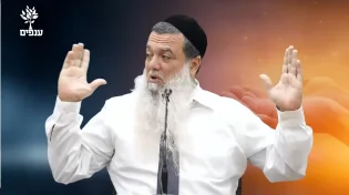 הרב יגאל כהן - המידה החשובה בעולם!