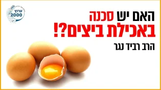 הרב רביד נגר - האם יש סכנה באכילת ביצים! מהם הסימנים לביצים 