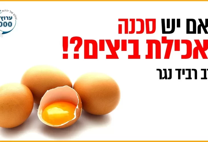 הרב רביד נגר - האם יש סכנה באכילת ביצים! מהם הסימנים לביצים 