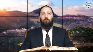 דף יומי: הדף היומי היום לצפיה - יומא י"ב |הרב פנחס יוסף אקרב