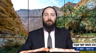 דף יומי: הדף היומי היום לצפיה - יומא י"ד |הרב פנחס יוסף אקרב