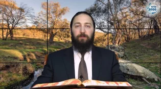 דף יומי: הדף היומי היום לצפיה - יומא י"ט |הרב פנחס יוסף אקרב