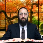 דף יומי: הדף היומי היום לצפיה - ביצה י