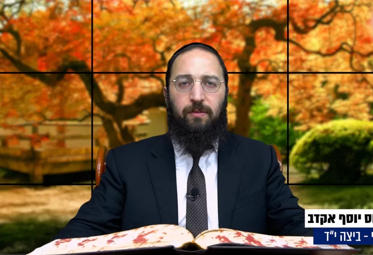 דף יומי: הדף היומי היום לצפיה - ביצה י"ד |הרב פנחס יוסף אקרב