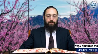 דף יומי: הדף היומי היום לצפיה - ביצה כ"ה |הרב פנחס יוסף אקרב