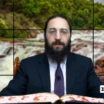 דף יומי: הדף היומי היום לצפיה - ביצה ל