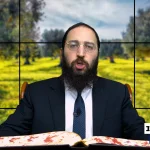 דף יומי: הדף היומי היום לצפיה - ביצה ל