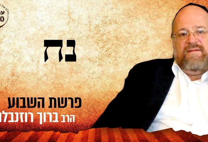 פרשת נח תשפ"ב סודות מפרשת נח
