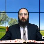 דף יומי: הדף היומי היום לצפיה - ביצה ל