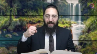 דף יומי: הדף היומי היום לצפיה - תענית כ"ט|הרב פנחס יוסף אקרב