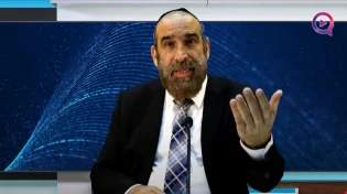 האם מותר לצוד זבוב או יתוש בשבת? האם מותר לצחצח שיניים בשבת?