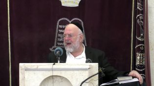 הרב ברוך רוזנבלום: סודות מפרשת שלח לך