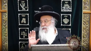 הרב בניהו שמואלי - ל"ג בעומר - פרשת אמור