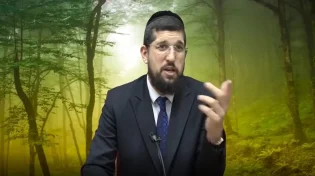 הרב אליהו עמר - פרשת קדושים תשע"ט