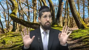 הרב אליהו עמר - פרשת יתרו תשע"ט