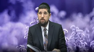 הרב אליהו עמר - פרשת בשלח תשע"ט