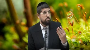 הרב אליהו עמר - פרשת נח תשע’’ט 1