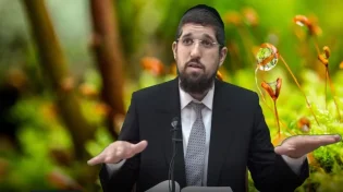 הרב אליהו עמר - פרשת נח תשע''ט