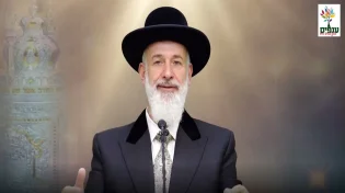 הרב יונה מצגר - פרשת במדבר 