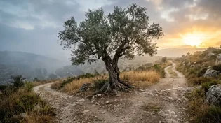 אברהם יצא לדרך, רחל נשארה בדרך: ומה מחבר בין שניהם?