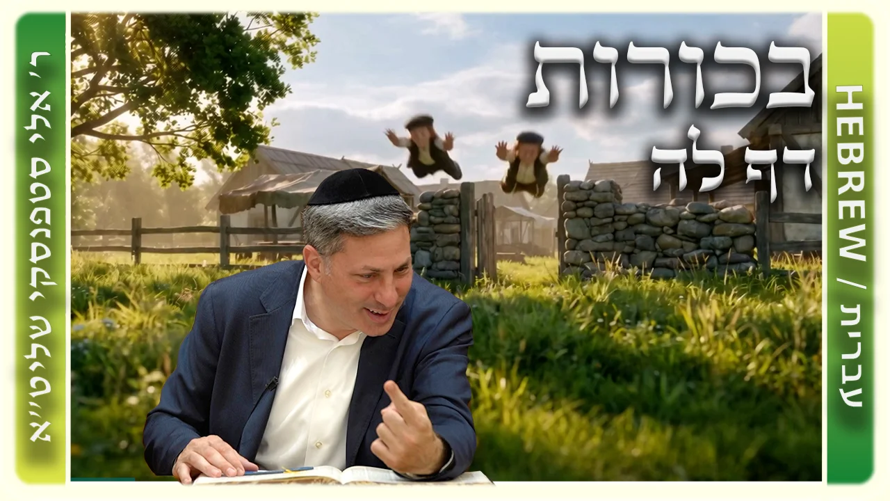 שיעור הדף היומי: בכורות דף לה - ר' אלי סטפנסקי
