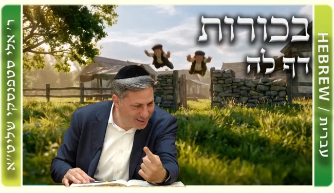 שיעור הדף היומי: בכורות דף לה - ר' אלי סטפנסקי