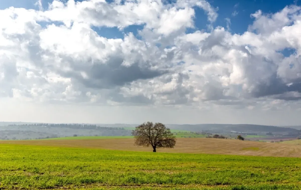 נוף בישראל