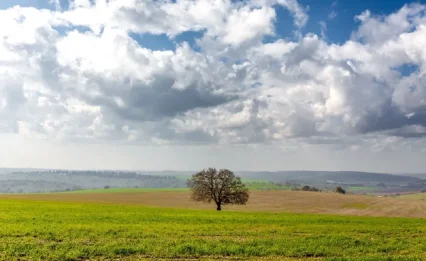 ביום הבחירות: גשמים, סופות רעמים וחשש לשיטפונות