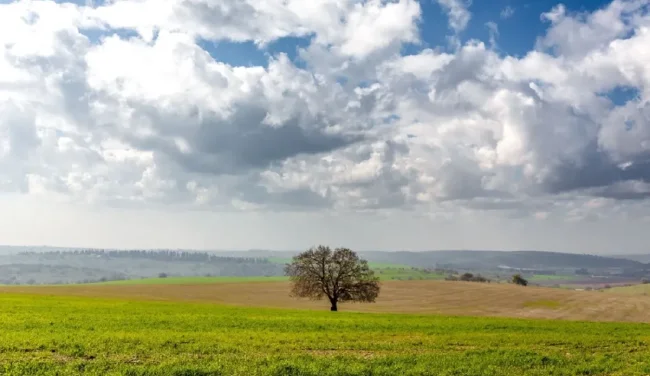 ביום הבחירות: גשמים, סופות רעמים וחשש לשיטפונות