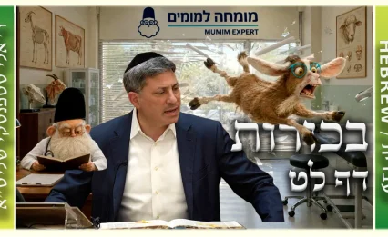 שיעור הדף היומי: בכורות דף לט - ר' אלי סטפנסקי