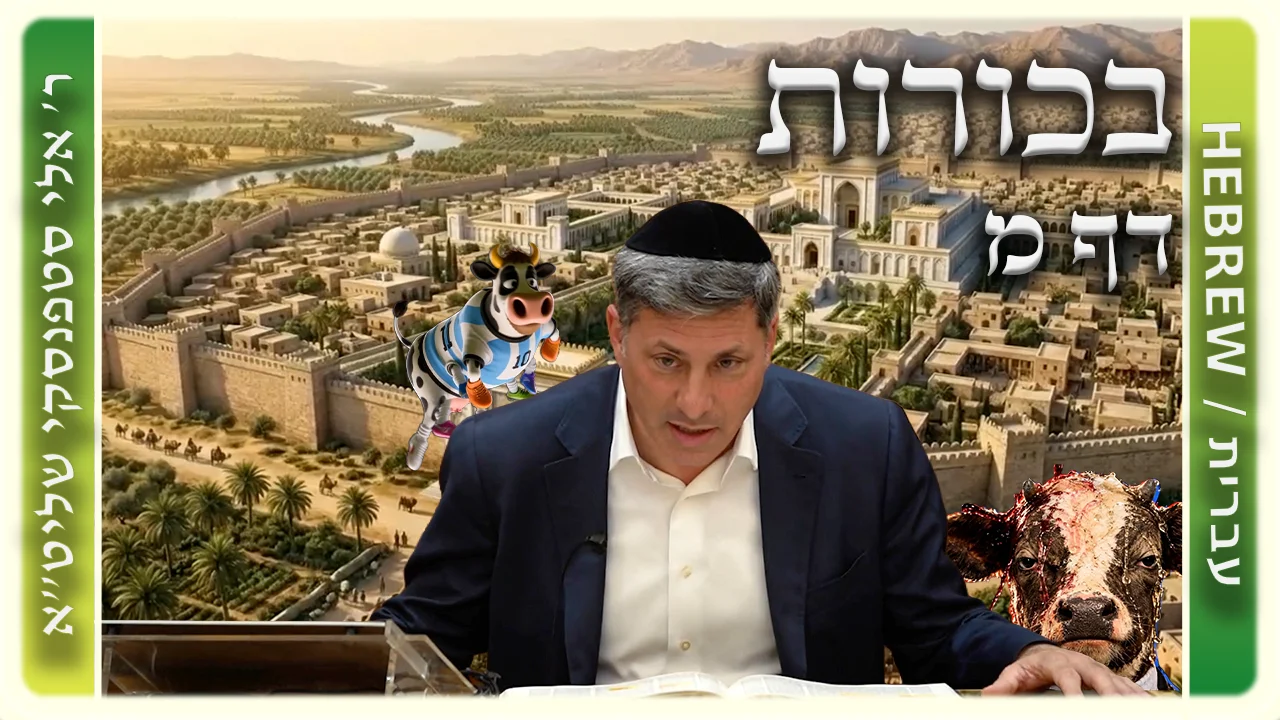 שיעור הדף היומי: בכורות דף מ - ר' אלי סטפנסקי