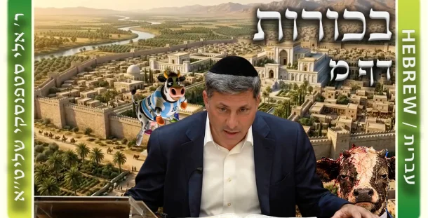 שיעור הדף היומי: בכורות דף מ - ר' אלי סטפנסקי