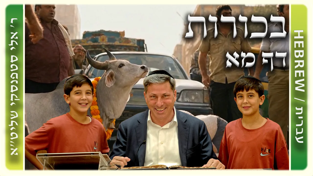 שיעור הדף היומי: בכורות דף מא - ר' אלי סטפנסקי