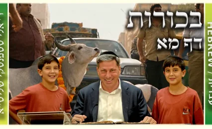 שיעור הדף היומי: בכורות דף מא - ר' אלי סטפנסקי
