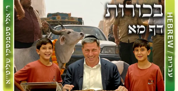 שיעור הדף היומי: בכורות דף מא - ר' אלי סטפנסקי