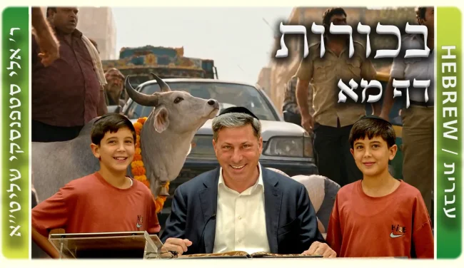 שיעור הדף היומי: בכורות דף מא - ר' אלי סטפנסקי