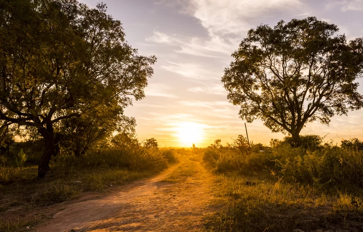 עצום: שנים של המתנה הגיעו לסיומם בזכות אמונה תמימה בבורא עצום: שנים של המתנה הגיעו לסיומם בזכות אמונה תמימה בבורא