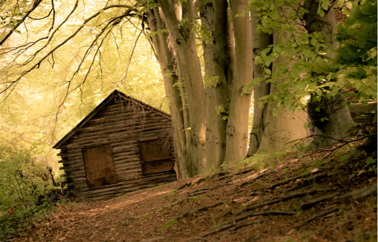 יש גמדים אמיתיים? גמדים ביהדות יש גמדים אמיתיים? גמדים ביהדות