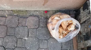 האם מותר לתלות את שקית הלחם על הפח?