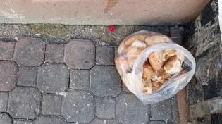 האם מותר לתלות את שקית הלחם על הפח?