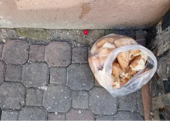 האם מותר לתלות לחם? תליית לחם