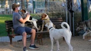 בעלי כלבים התפקדו: האם מותר לטייל עם כלב בשבת?